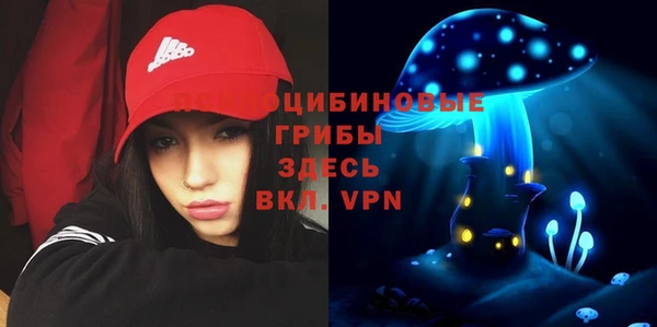 PSILOCYBIN Протвино