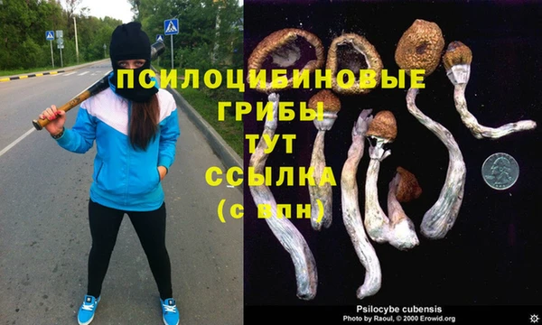 мдма Заречный