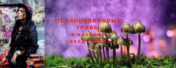 гашишное масло Пролетарск