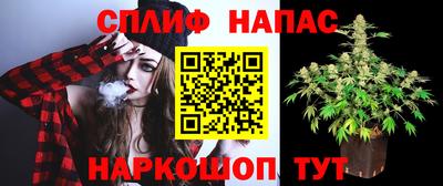 стафф Балаково