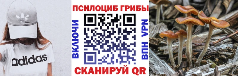 МЕГА маркетплейс сколько стоит Сатка Псилоцибиновые грибы MAGIC MUSHROOMS