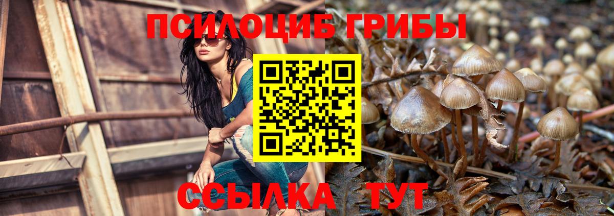 Псилоцибиновые грибы Magic Shrooms  Галлюциногенные грибы прущие грибы  Сатка 