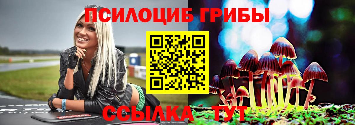 Сатка  Псилоцибиновые грибы ЛСД  Вход с VPN 